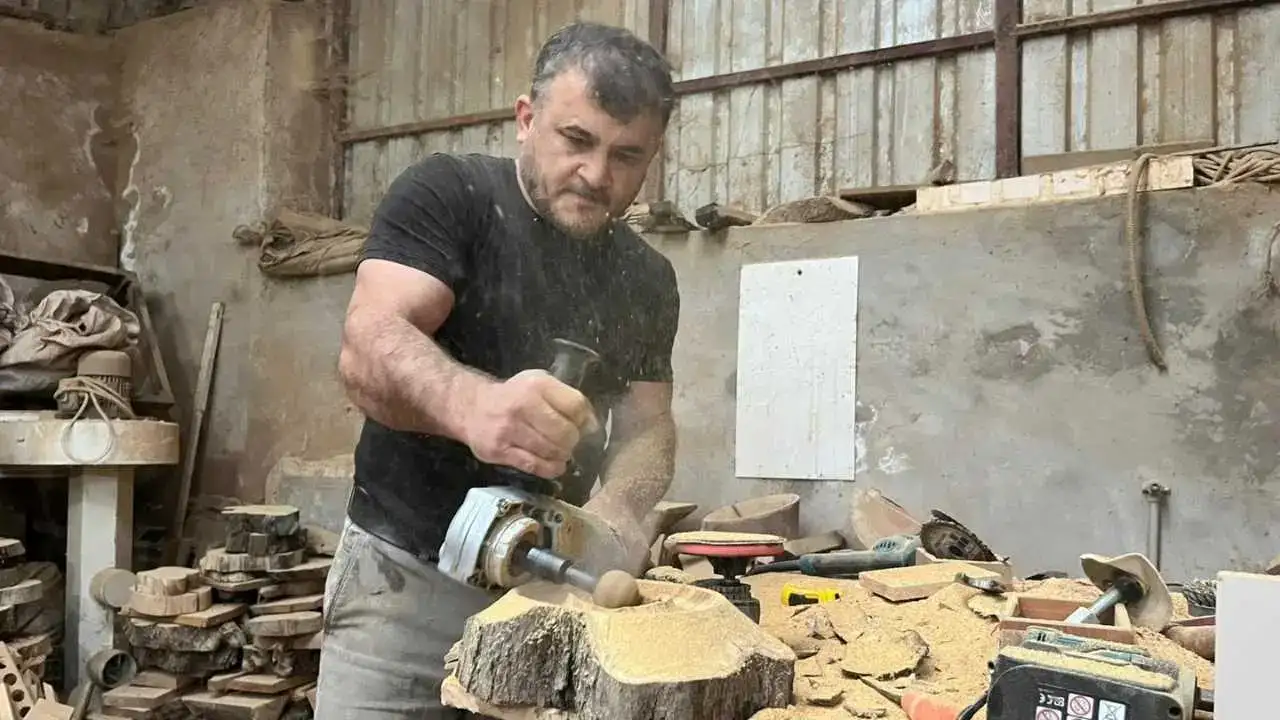 Çürümüş Zeytin Ağaçlarına Sanatla Hayat Veriyor! 2